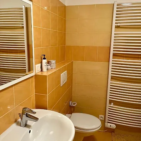Apartment U Tesaka - V Orlickych Horach *